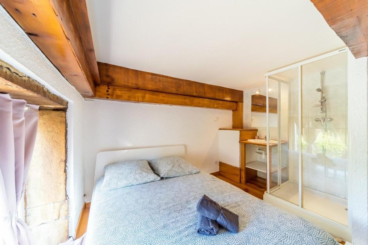 The Charming Fleury 2 Bedrooms Apartment Oullins